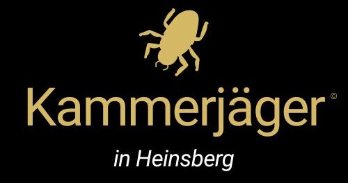 Kammerjäger in Heinsberg - Schädlingsbekämpfung - Ratten - Mäuse - Ameisen - Wespen - Fliegen - Motten - Tauben - Marder - Silberfische - Schädlinge bekämpfen